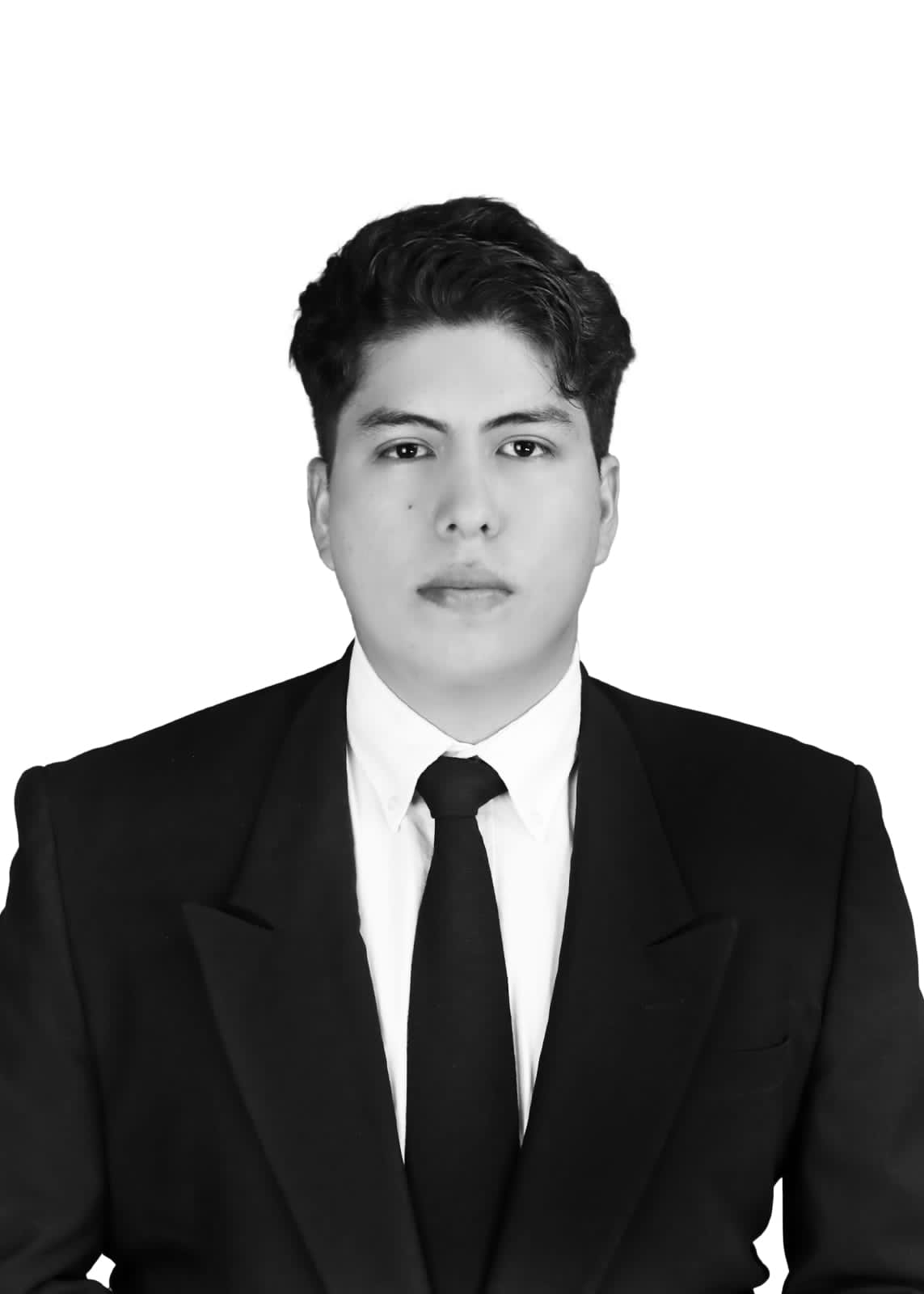 Arquitecto Principal
